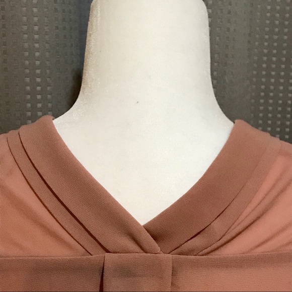 ❄️EUC❄️Oversized Rosé Dex Sheer Button Down Blouse - Picture 5 of 8